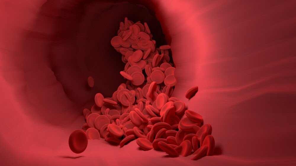 Wymiana krwi odmładza organizm, dowodzą najnowsze badania
