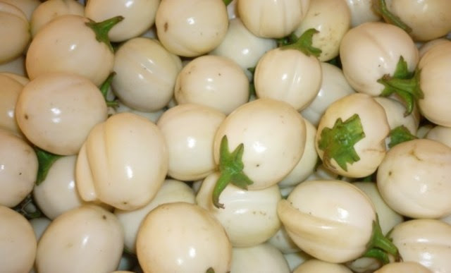 white garden egg