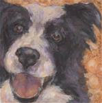 Border Collie - Posted on Friday, December 5, 2014 by Kathy Hiserman