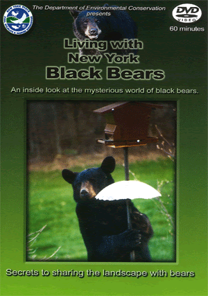 Cover of the New York black bear dvd