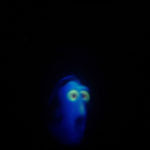 3455617310_91abf9a87d_b