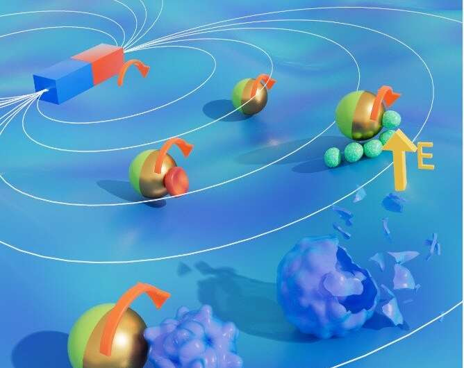 Hybrid micro-robot able to navigate in a physiological environment and capture targeted damaged cells