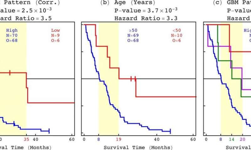 Genome-wide pattern found in tumors from brain cancer patients predicts life expectancy