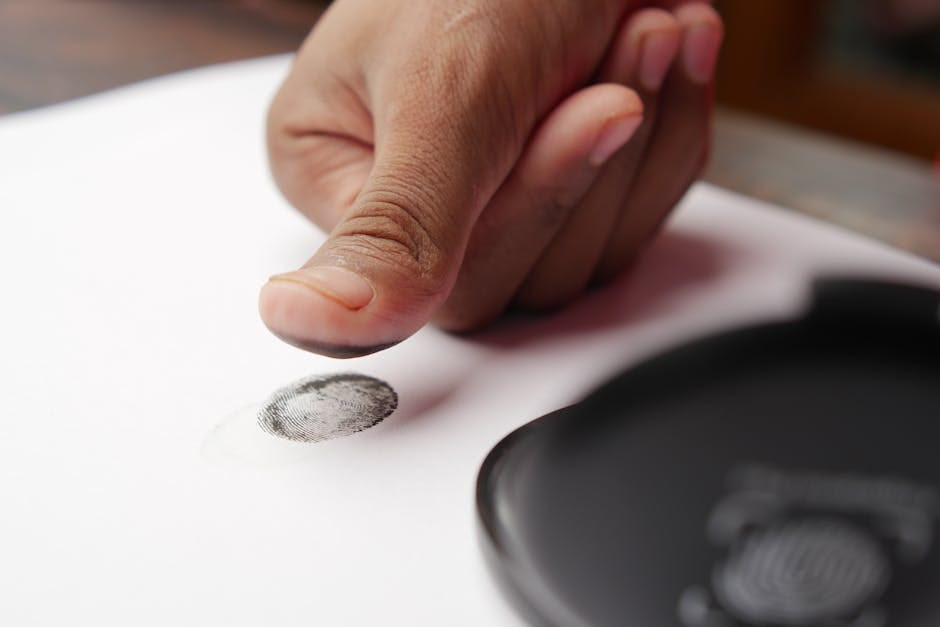 Erasing Your Criminal History