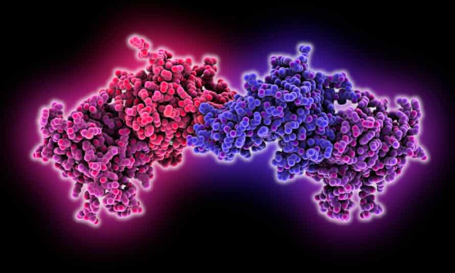 A model of DNA methylation – the process that modulates genes. The influence of environment or lifestyle on this process is being studied.