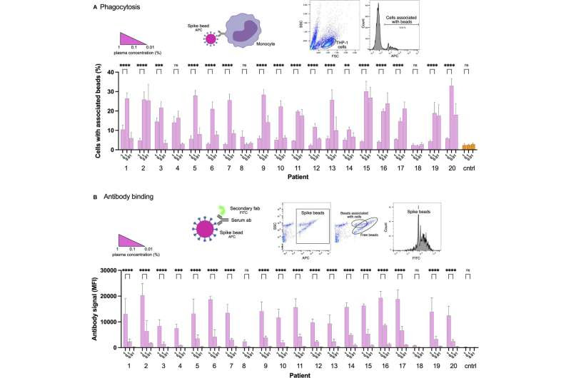 Additional antibodies may protect against Covid