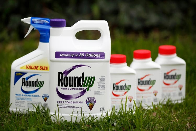 El herbicida Roundup de Monsanto, elaborado a base de glifosato (Foto: Bloomberg / Luke Sharrett)