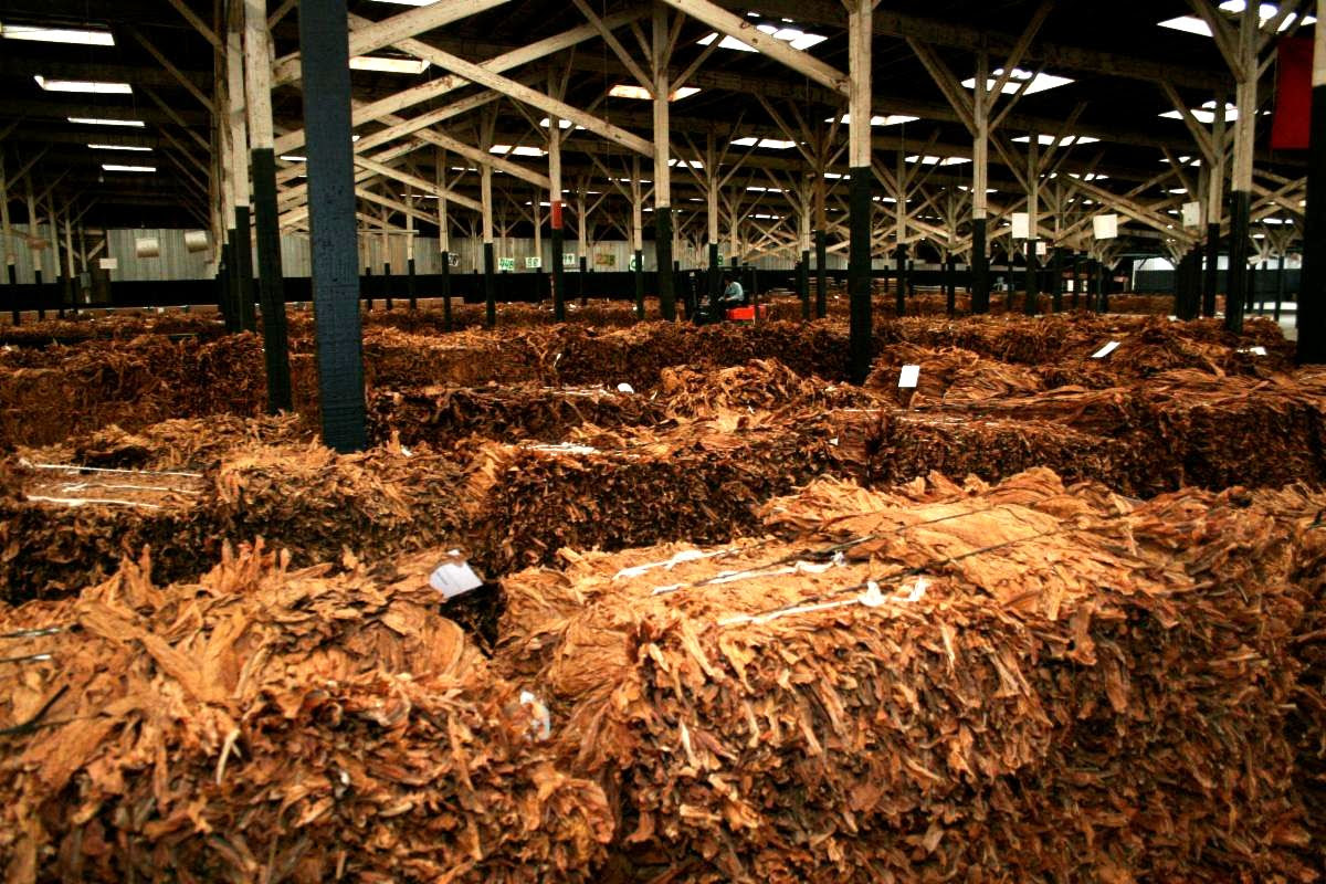 London Tobacco Market • London, Kentucky • The New London Tobacco Warehouse  serves burley tobacco growers throughout Kentucky, Tennessee and Virginia.  We sell tobacco supplies, tobacco plants, crop insurance and are here