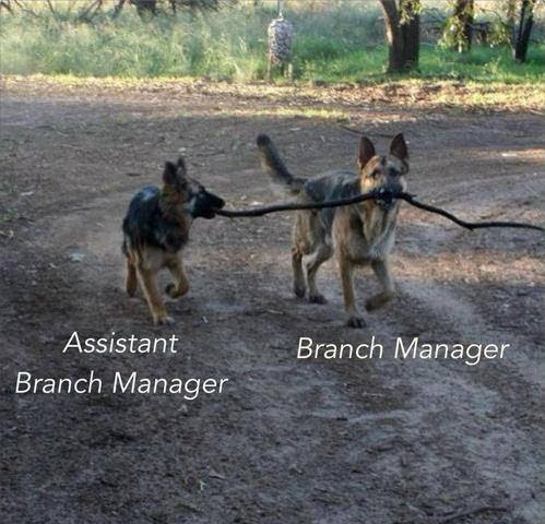 Some old, some new - I'm still laughing 10%20-%20Branch%20Manager