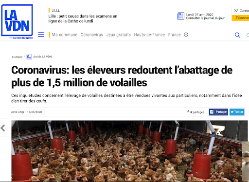 Coronavirus : un parfum de Révolution Française Abattage%20Volailles