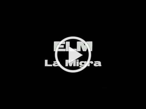 ELM - LA MIGRA (BRUJERIA COVER)