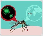 Repurposed drug effectively protects against Zika virus in mouse models