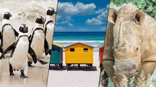 Cape Town & Kruger Experience • 7 Days