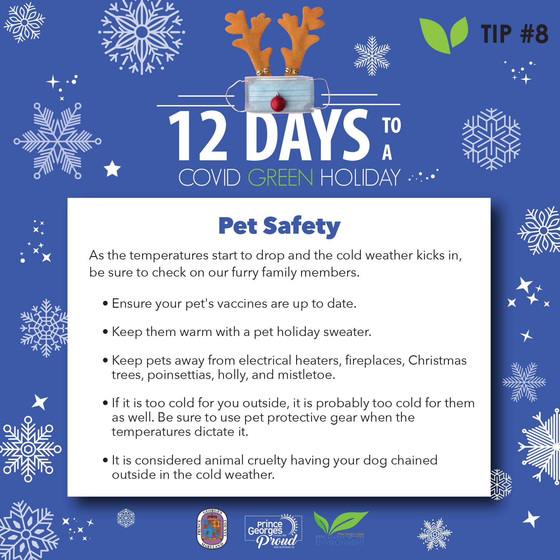 Day 8 of 12 Days Day 8 of 12 Days