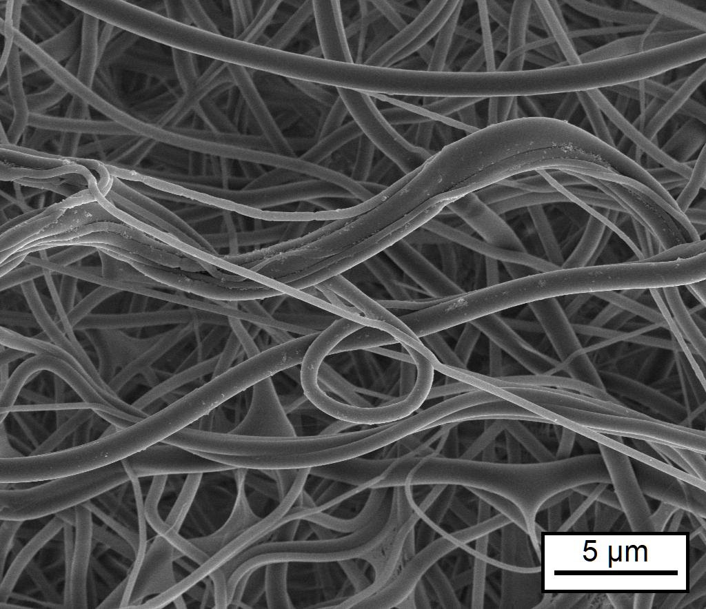 A microscope image of the crosslinked tropoelastin nanofibers