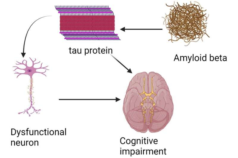 Two Alzheimer's drugs tested head-to-head in first-ever virtual clinical trial