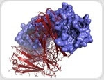 How are Host Cell Proteins Removed from Biopharmaceuticals?