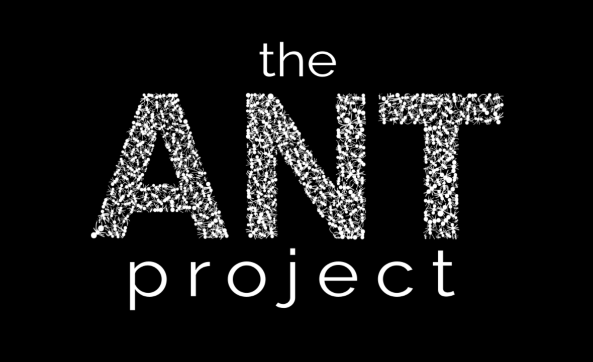 ANT-Project-logo