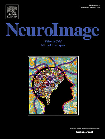 Center for the Developing Brain