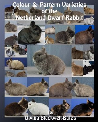 Colour & Pattern Varieties of the Netherland Dwarf Rabbit PDF