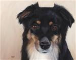 Whiskey: A Mini-Aussie Dog Portrait - Posted on Thursday, April 2, 2015 by Jana Bouc