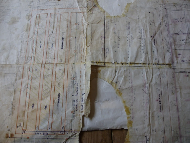 My scruffy old garden plans from 35 years ago showing the six 30ft x 4ft raised, 'deep' or 'no-dig' beds I started with in 1982 My scruffy old garden plans from 35 years ago showing the six 30ft x 4ft raised, 'deep' or 'no-dig' beds I started with in 1982