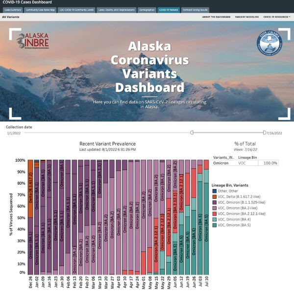 Alaska COVID dashboard