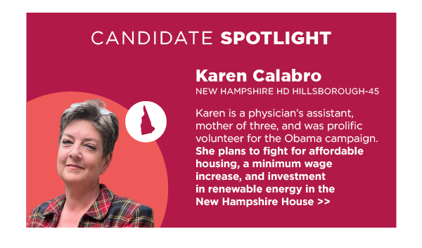 Spotlight Candidate: Karen Calabro