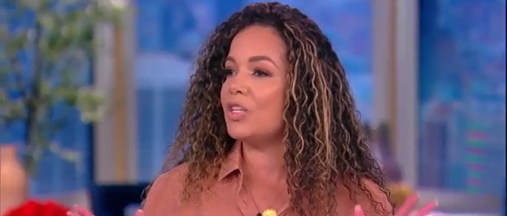 Sunny Hostin: Black Woman Who Graduated From Harvard Is ‘Overqualified’ For Supreme Court