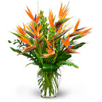 Bird of Paradise Bouquet | Flower Bouquets to Canada