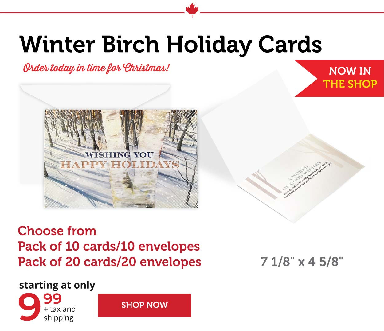 Winter Birch Holiday Cards