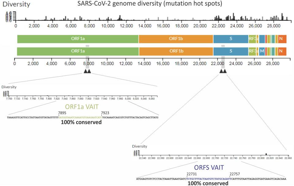 Location of VAIT elements in Genome