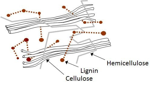 Whisky Barrel Structure