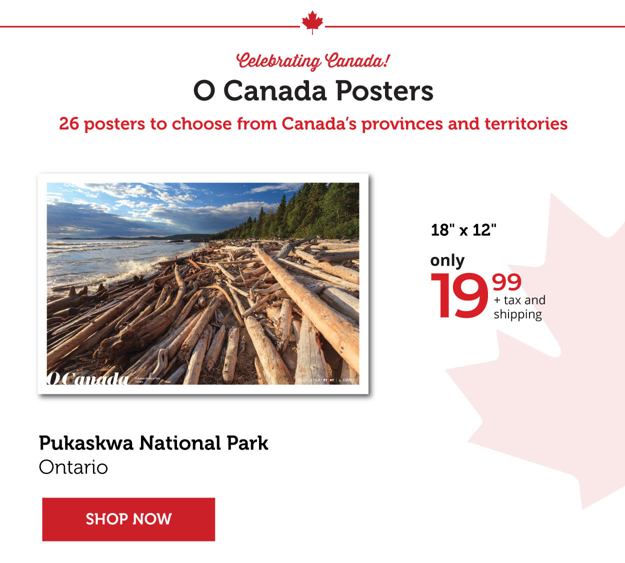 O Canada Posters!