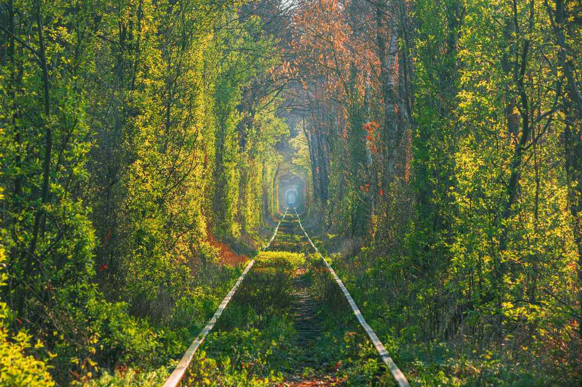 tunnel-of-love-ukraine-VIRTUALWALKS0420.jpg Spring morning in Tunnel of love. Klevan, Ukraine