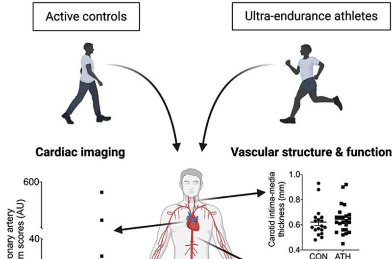 Is too much cardio bad for you? Study says probably not