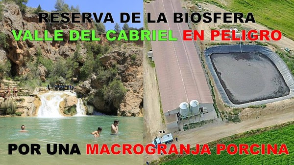 Salvemos la Reserva de la Biosfera del Cabriel (Cuenca) de macrogranjas