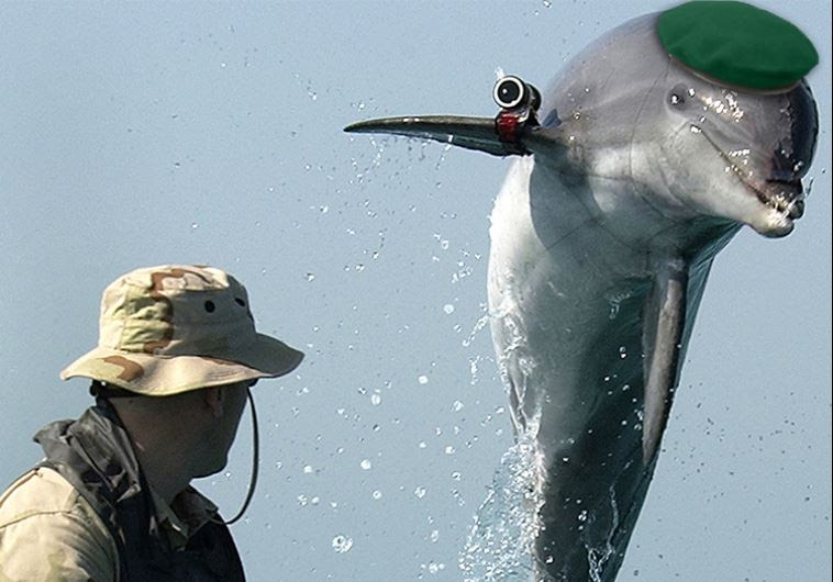 A Hamász elfogott egy delfint , és azt állítja róla, hogy izraeli kém