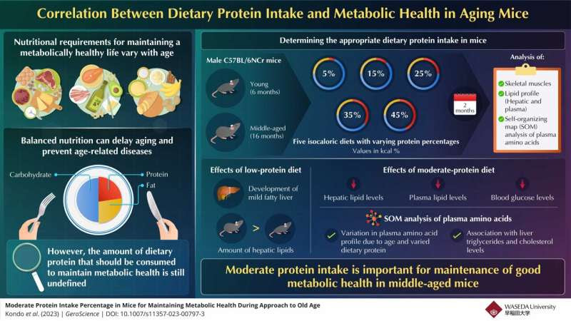 Eat right, live longer: could a moderate protein diet be the coveted elixir of youth?