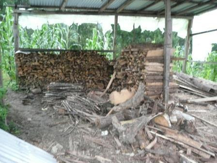 WoodPile