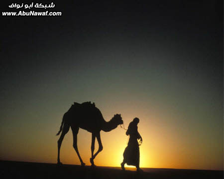 ابتسامات
 مصوّرة عبر التاريخ ؟