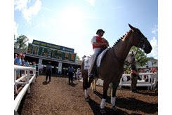 The view from inside the Monmouth Park paddock
