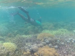 snorkelng di gili petelu pulau tiga