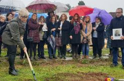 La memoria se reactiva: la exhumación de la primera fosa del franquismo en Sevilla alcanza el 10% de la superficie