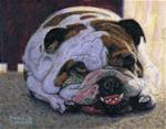 Lazy Bulldog - Posted on Saturday, January 24, 2015 by Donald Curran