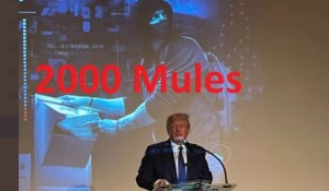 OPINION: I Watched “2000 Mules” This Weekend, Here Are My Thoughts