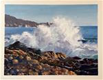 High tides in Monterey Bay,CA - Posted on Saturday, January 31, 2015 by Padmini Satish
