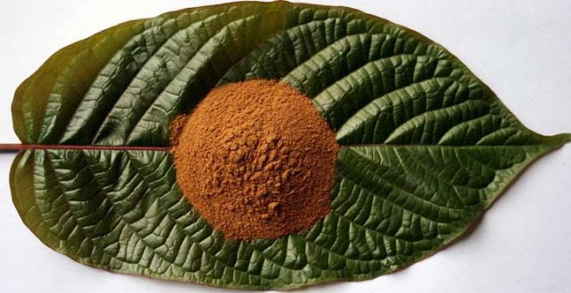 Non-addictive Natural Pain Killer Kratom Relieves Chronic Pain, Depression – Leave Rx Drugs Behind