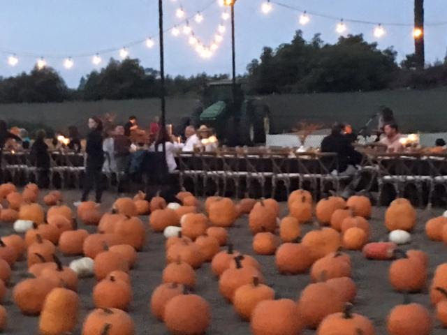 McGrath Pumpkin Patch Ventura ca