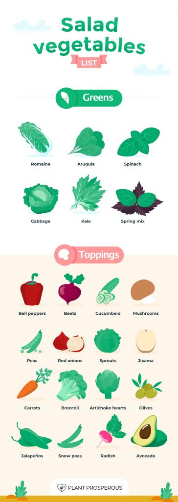 List of salad vegetable greens and toppings infographic